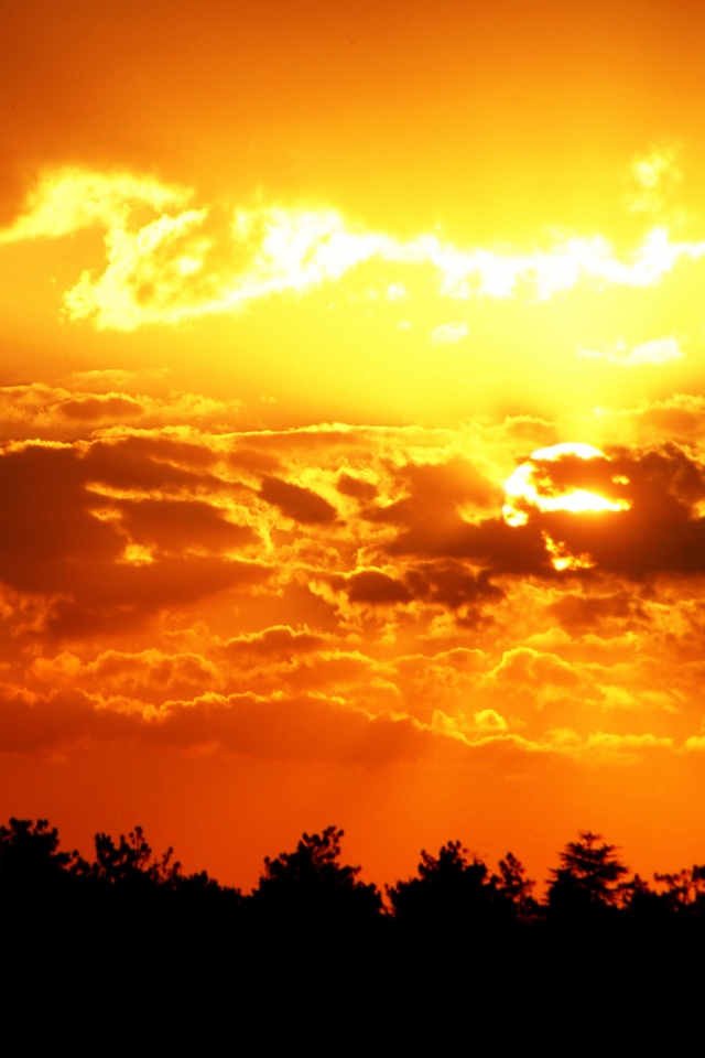 Ярко-оранжевое закатное небо обои