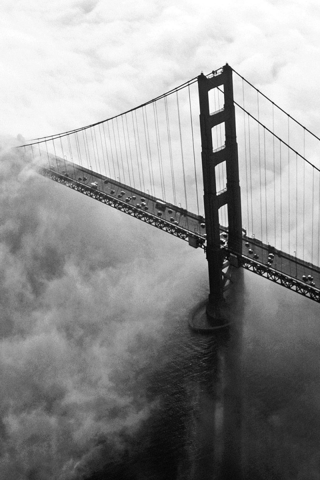 Мост Золотые ворота утопает в тумане обои