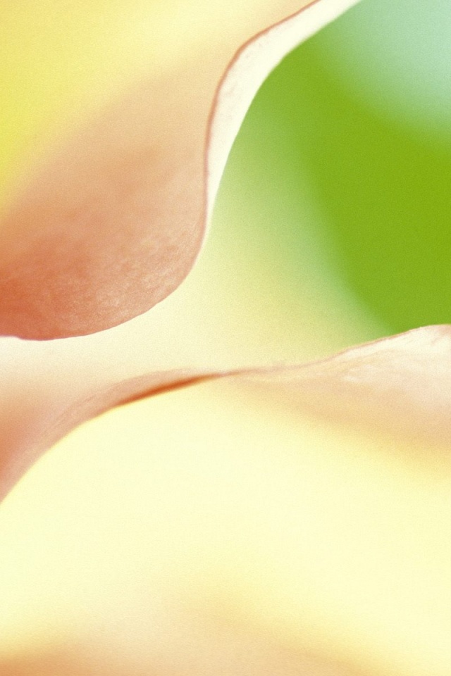 Оттенки природы обои