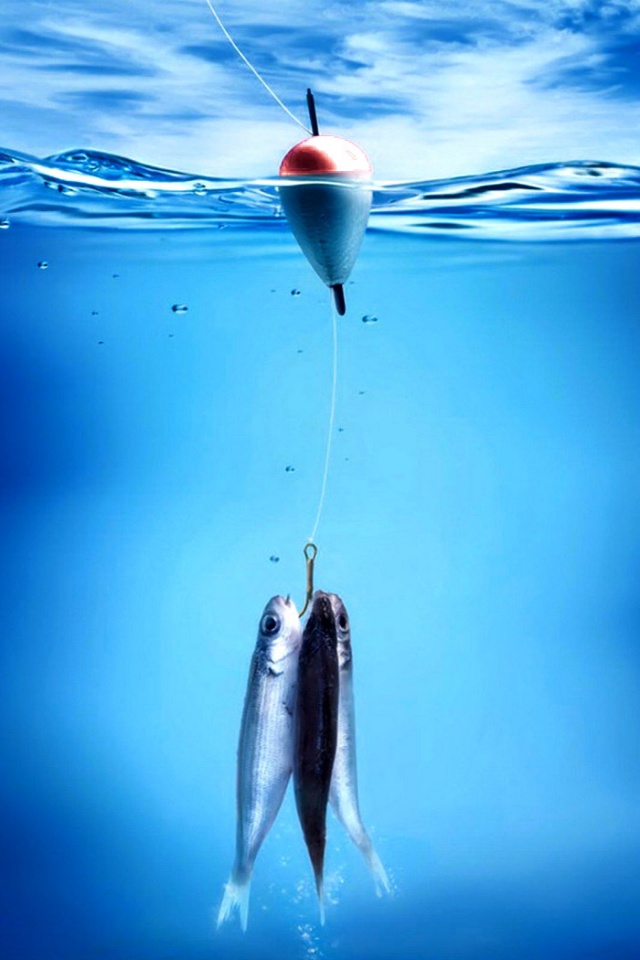 На крючке обои