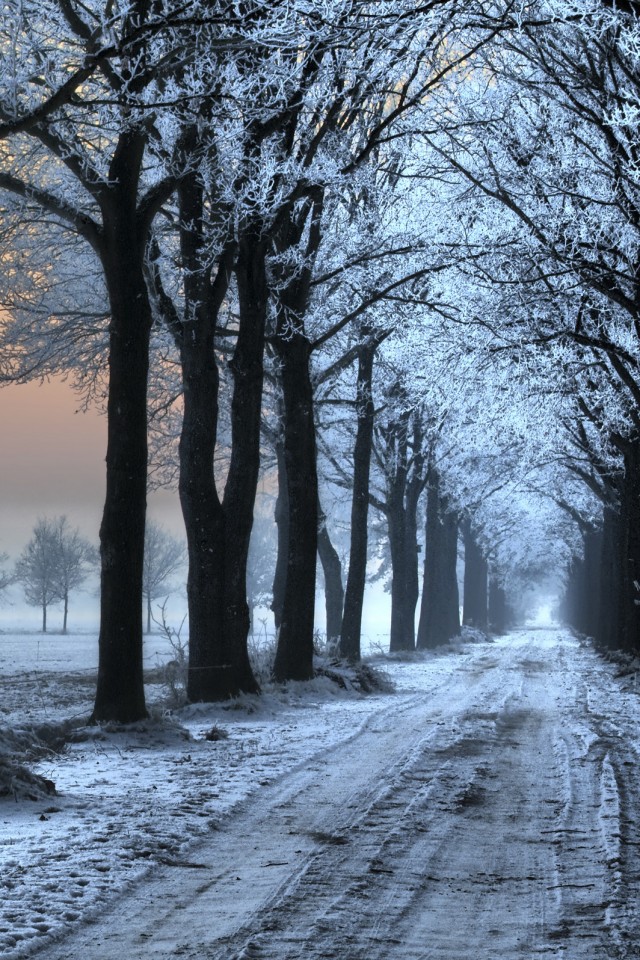 Морозное утро обои