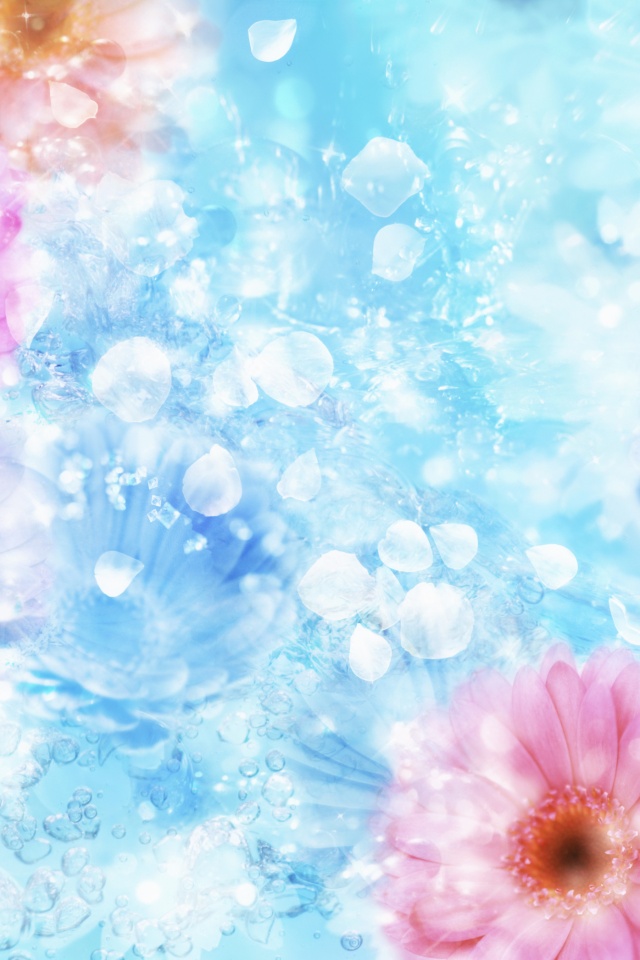 Цветочная эйфория обои