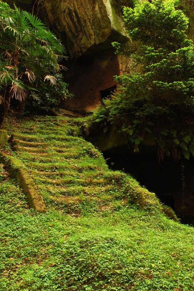Старинный лесной храм обои