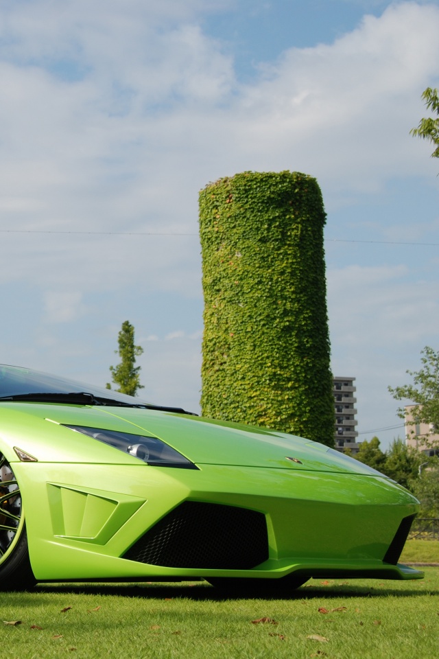 Зелёный Ламборджини на траве обои