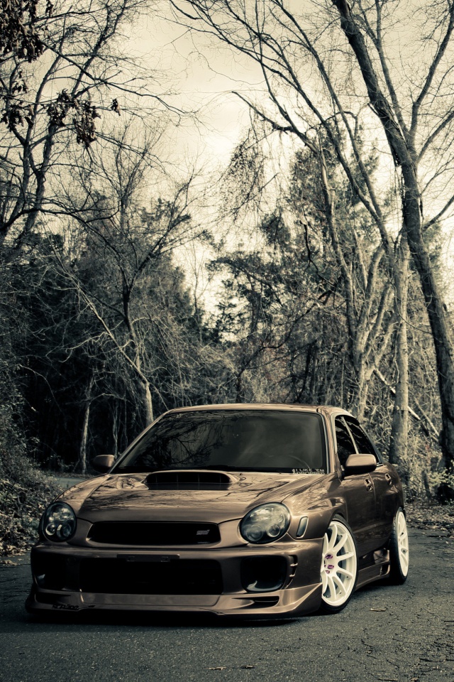 Субару Импреза на лесной дороге обои