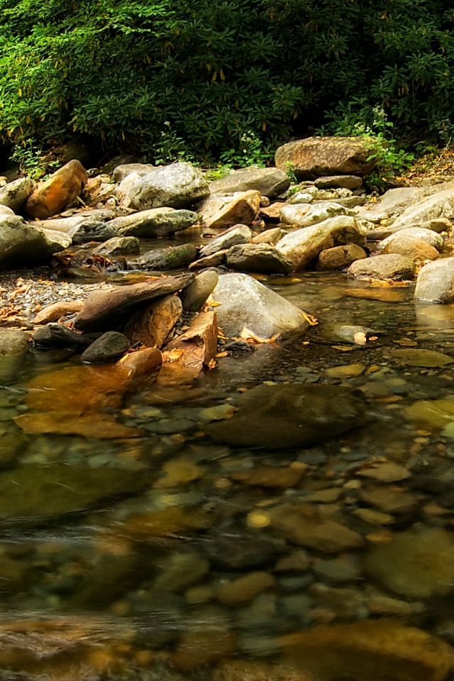 Гораня река обои