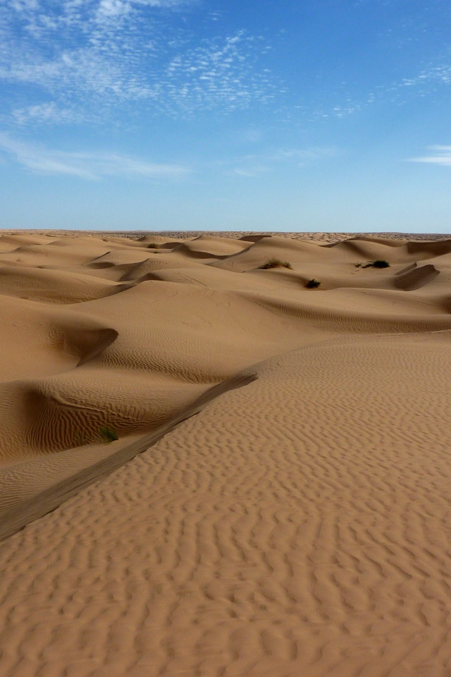 Пустыня до самого горизонта обои