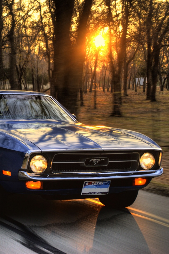 Мустанг обои