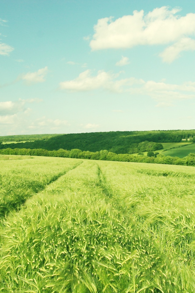 Бескрайние просторы обои