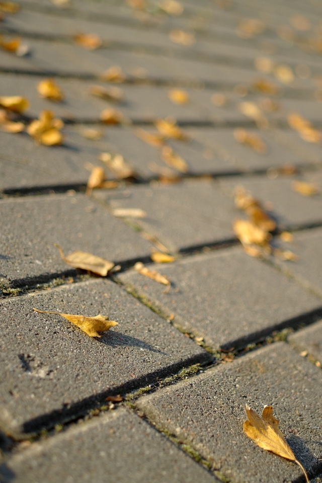 Тротуар обои