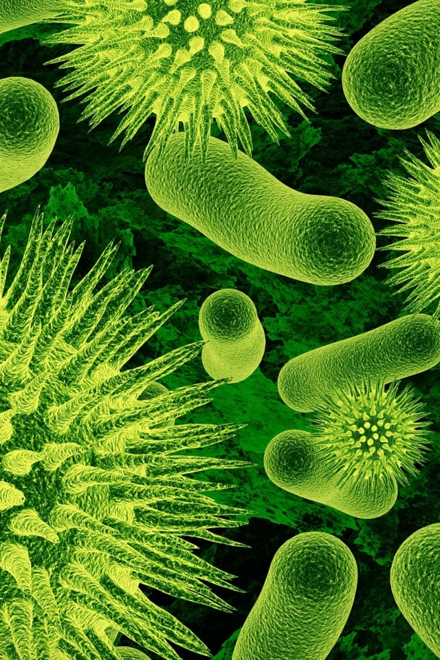 Бактерии обои