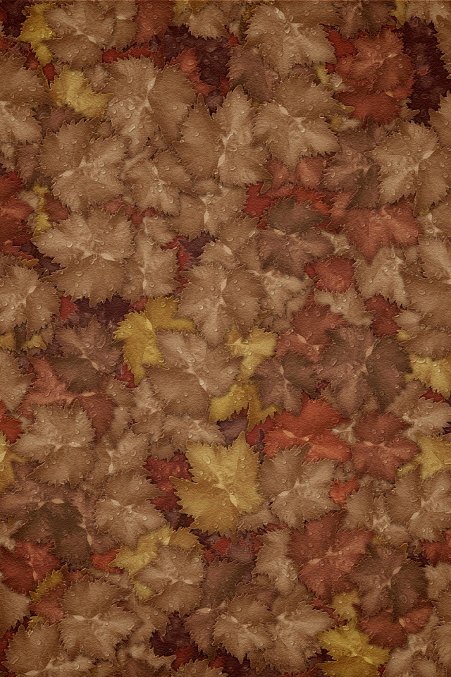 Осенние листья обои