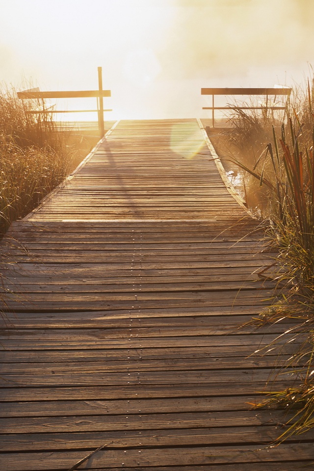 Выход к реке обои