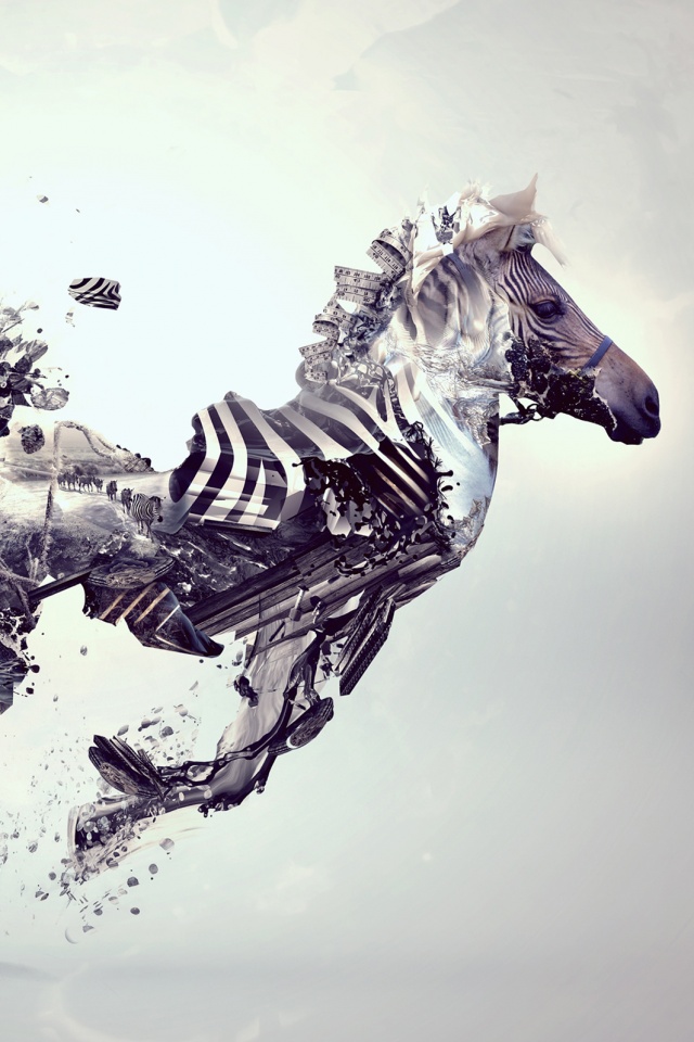 Зебра и бонсай обои