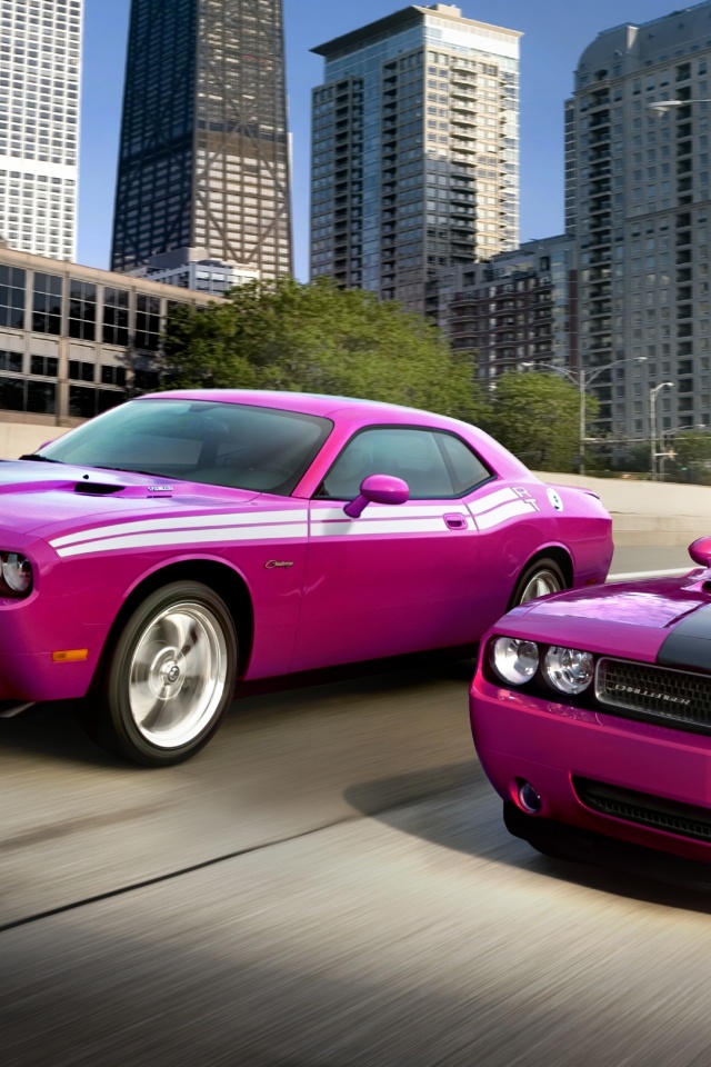 Два розовых мускулкара обои