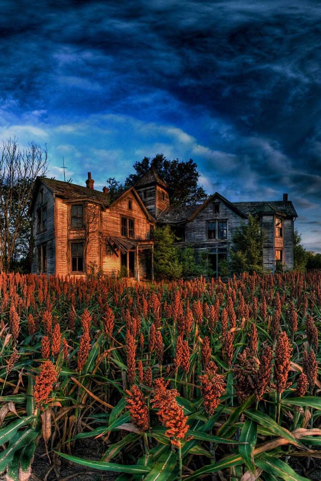 Заброшенный дом  обои