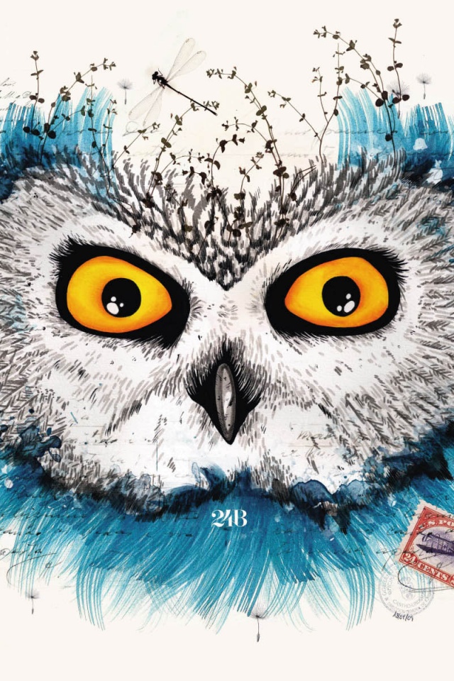 Обои сова для mac book обои