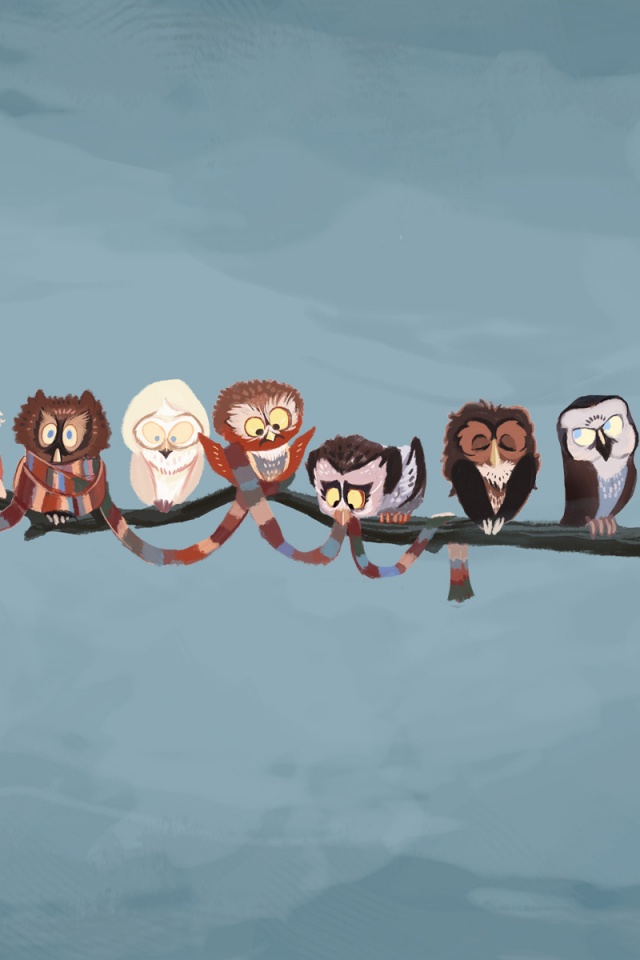 Совы на ветке обои