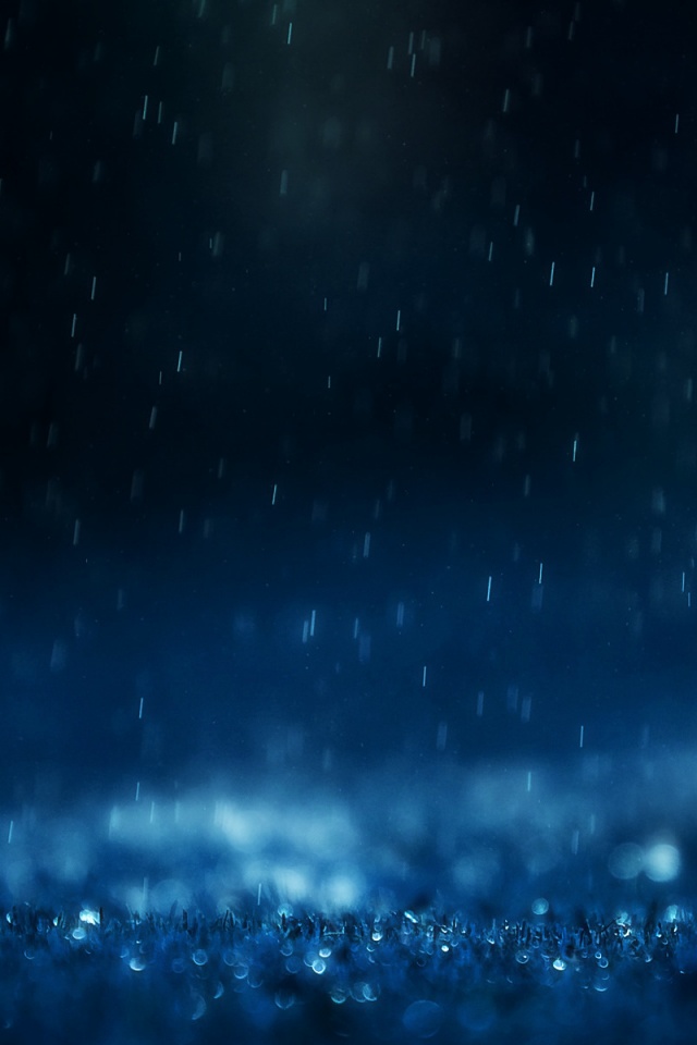 Макро фото дождя обои