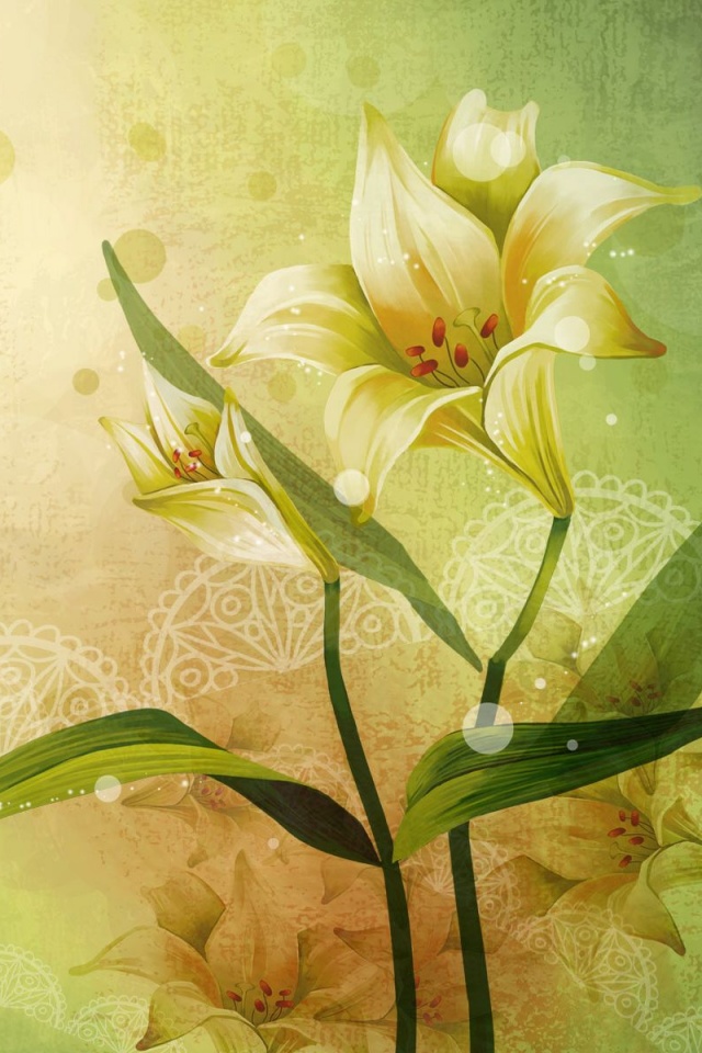 Красивое изображение лилии обои