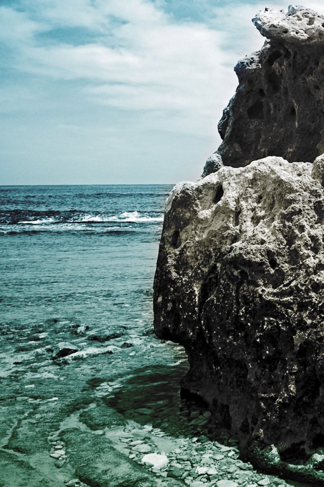 Коралловый риф обои