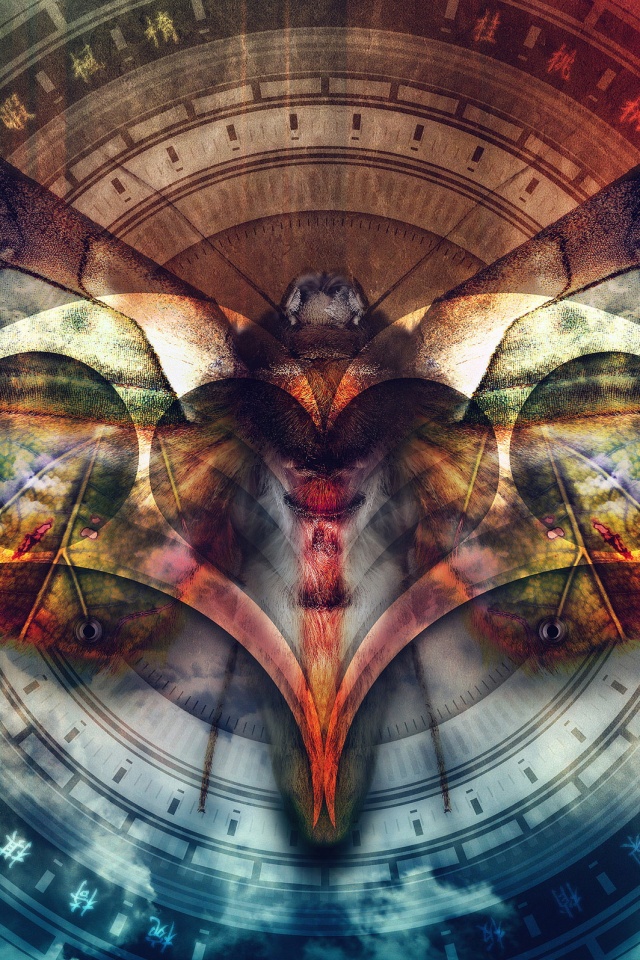 Красивая фэнтезийная бабочка обои