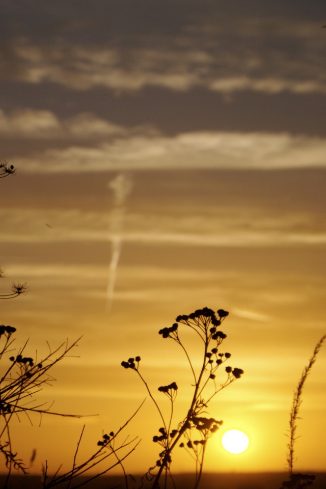 Степной закат обои