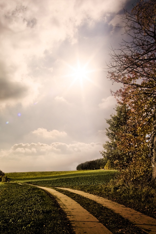 Солнечные холмы обои