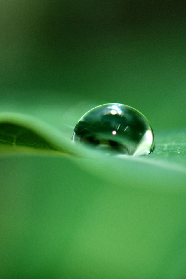 Фотография капли воды в макро обои