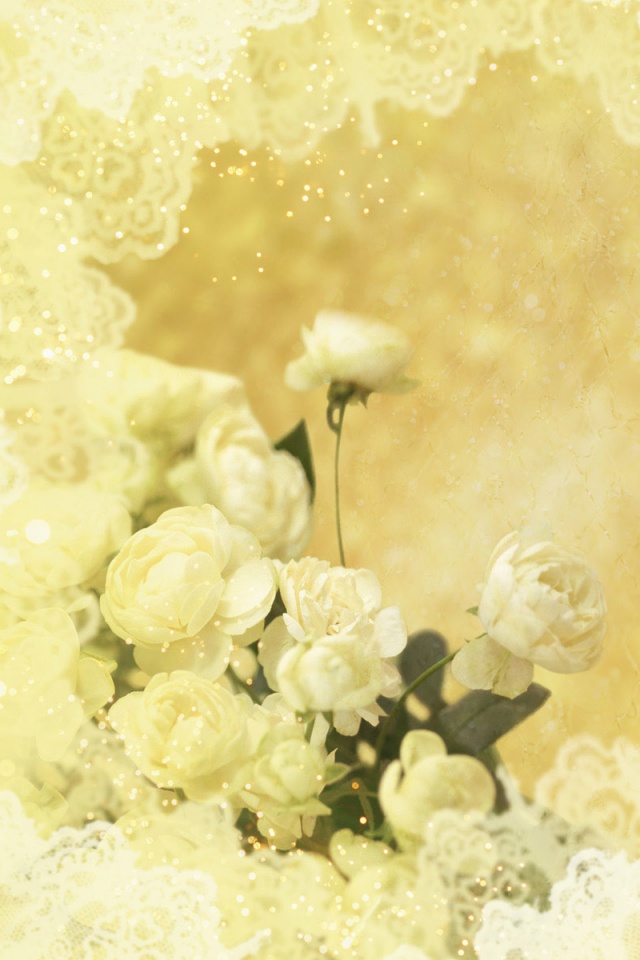 Бежевые кружева и розы обои