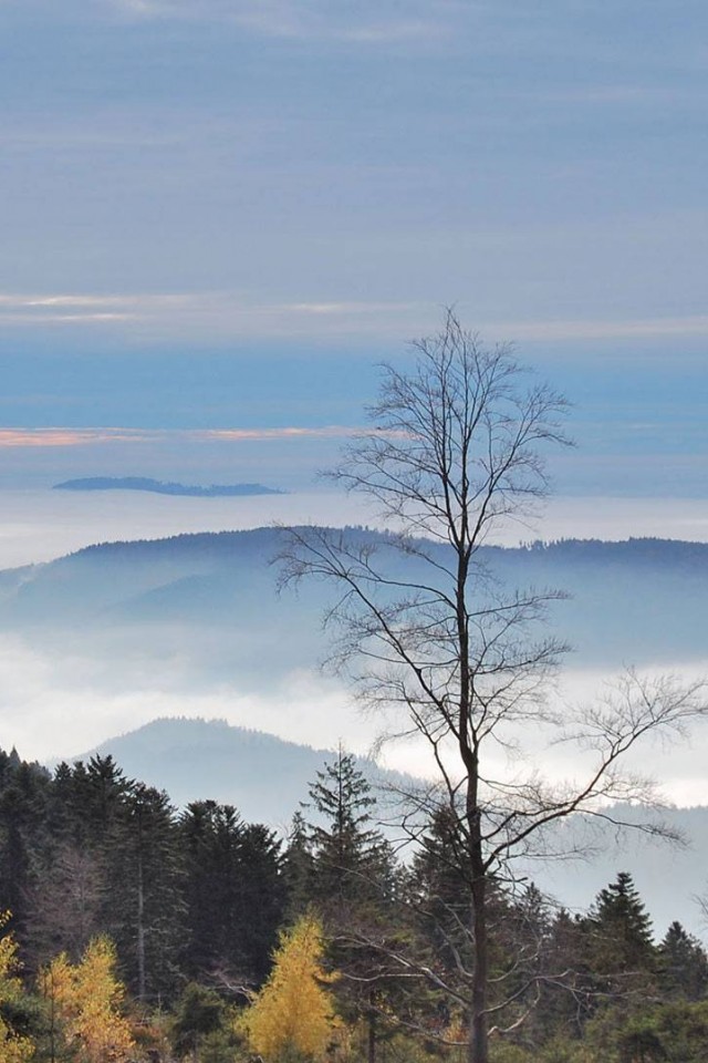 Холмы в тумане обои