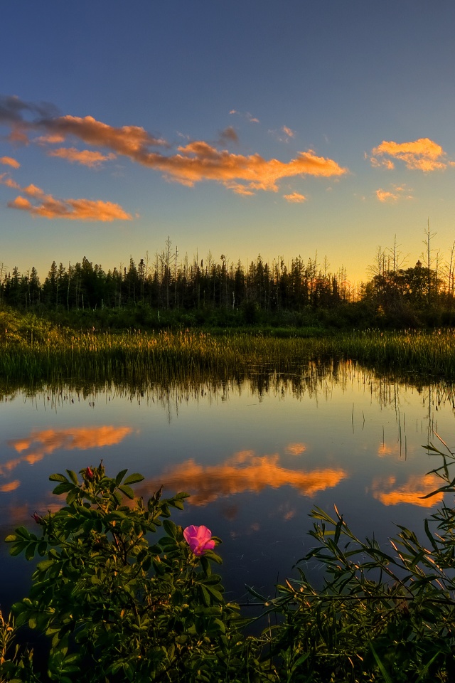 Вечерний закат обои
