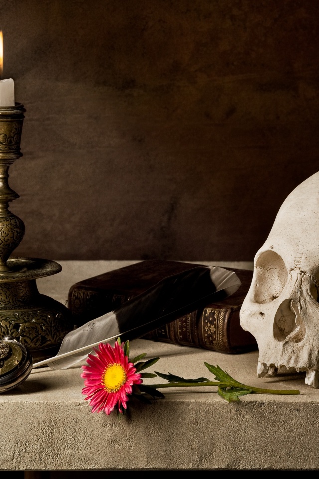 Проблеск в темноте обои