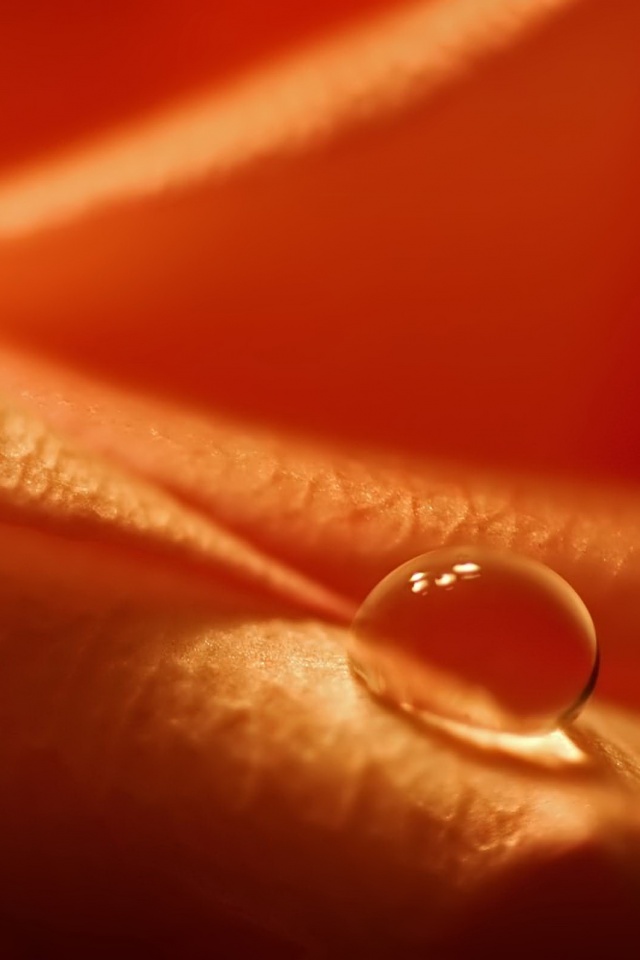 Капелька обои