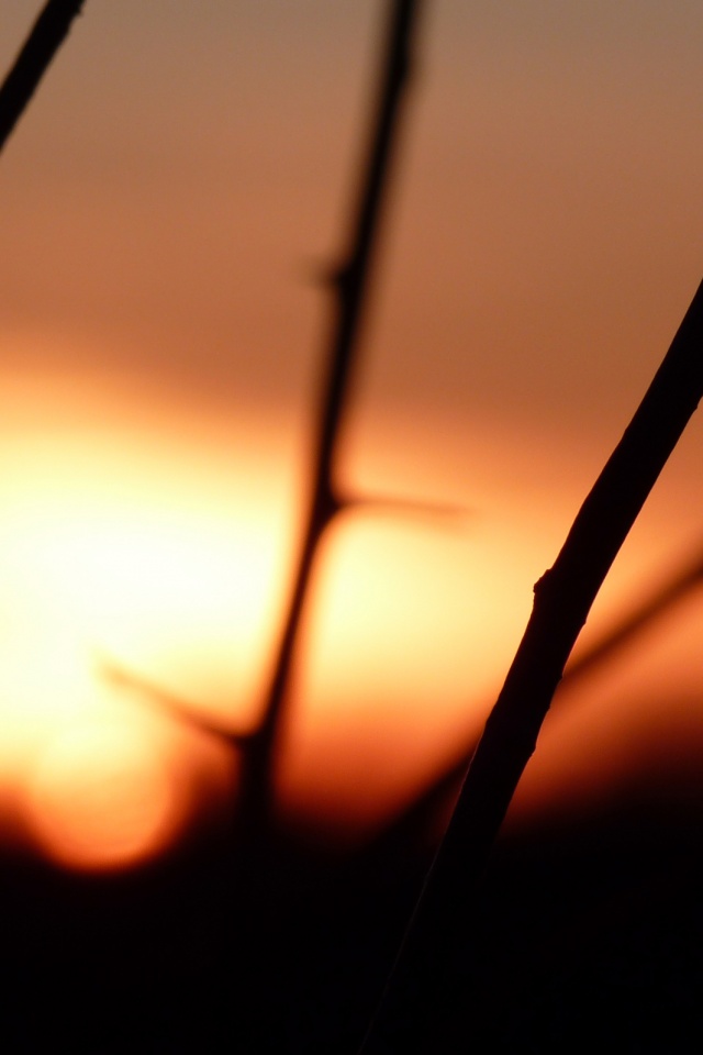 Закат солнца в поле обои