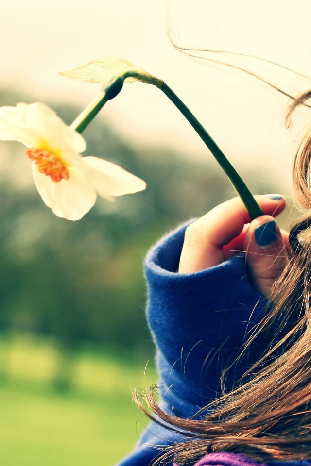 Девушка с нарциссом в руке обои