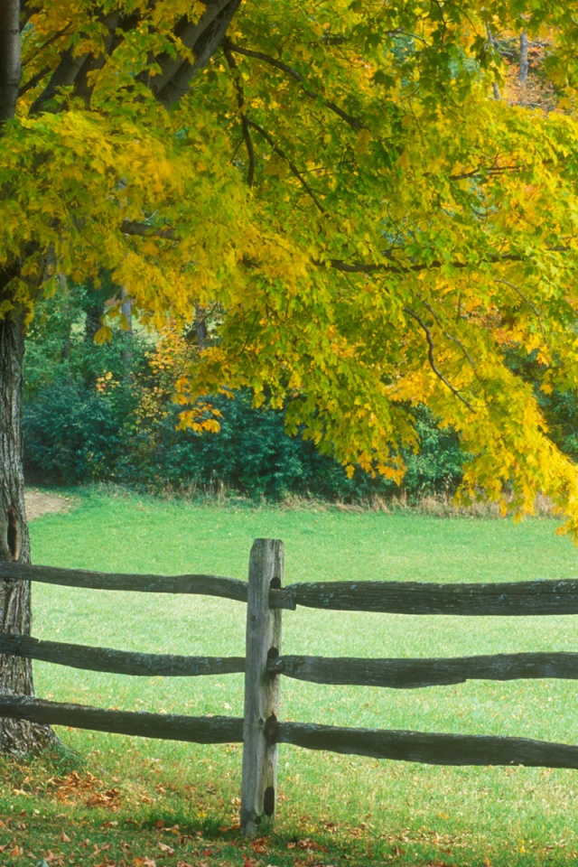 Ранняя осень обои