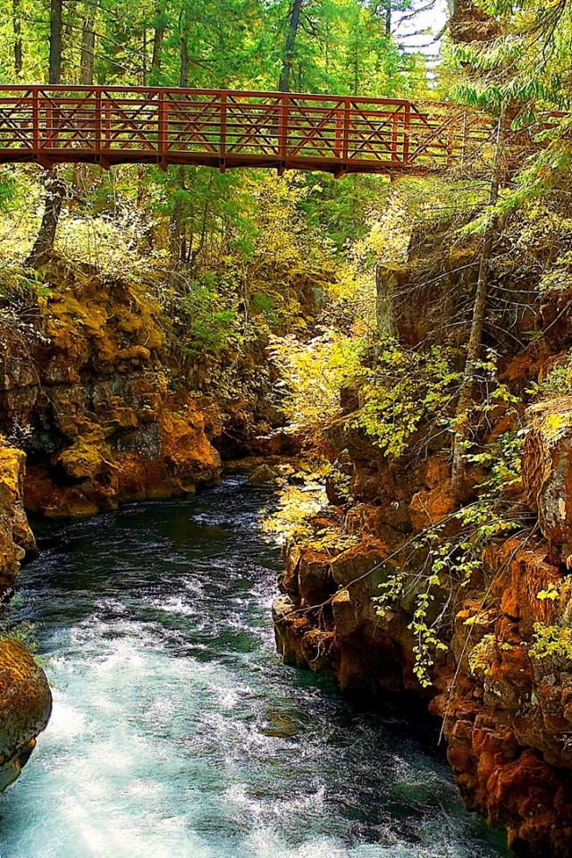 Мостик через реку в лесу обои