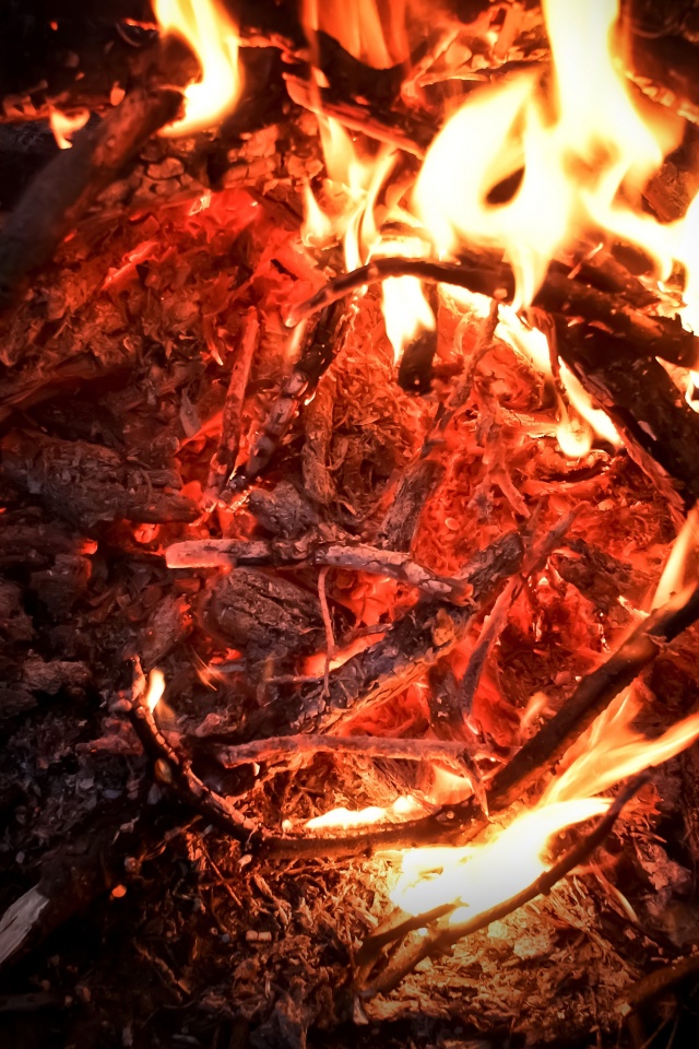 Костёр крупным планом обои
