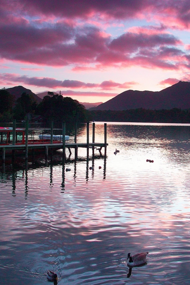 Причал на озере и утки обои