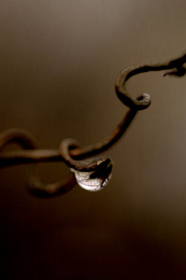 Одинокая капля обои