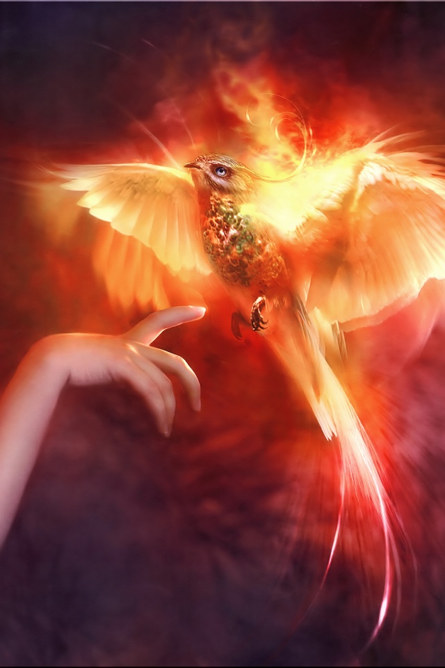 Феникс обои