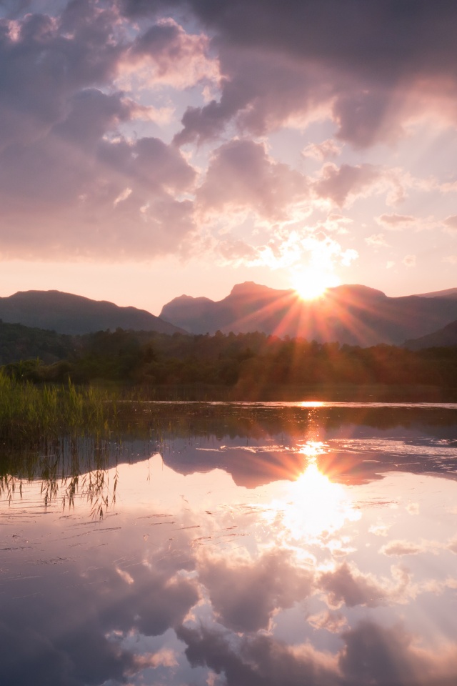 Закат за лесом обои