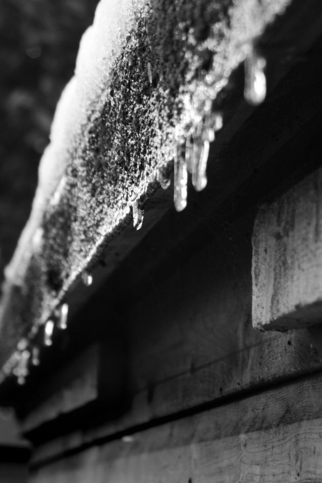 Весенняя капель обои