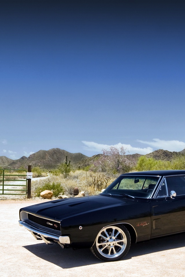 Мускулкар под палящим солнцем обои