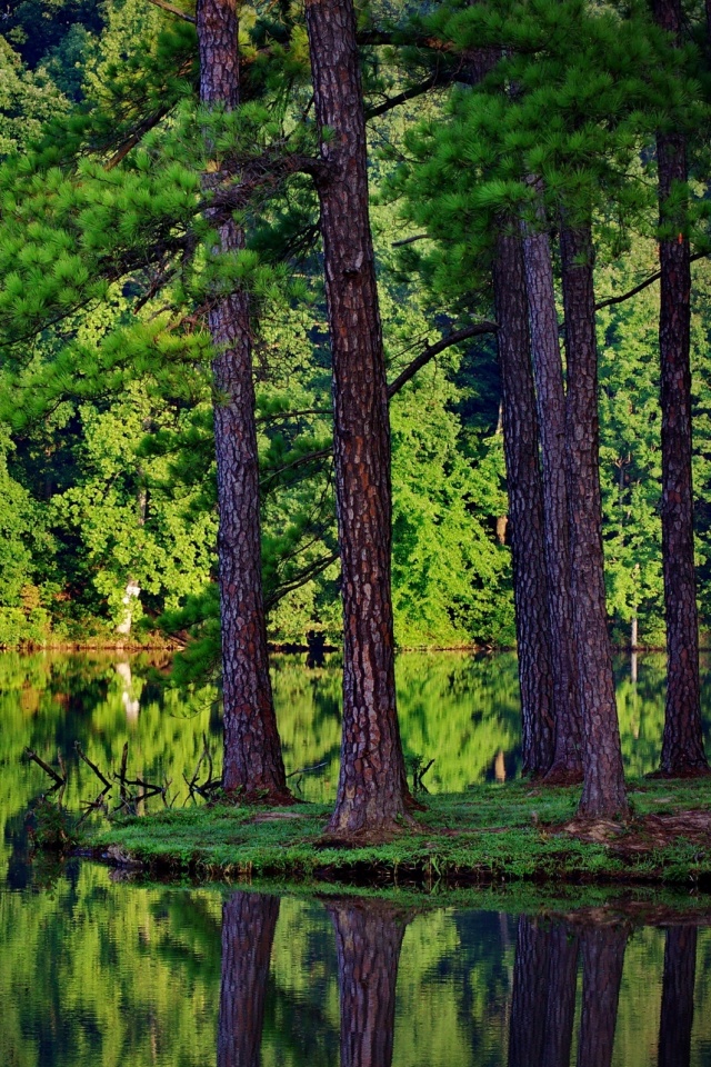Островок посреди озера обои