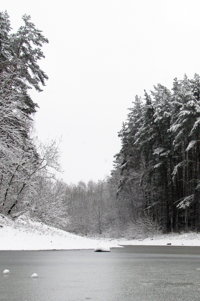 Зимняя дорога обои