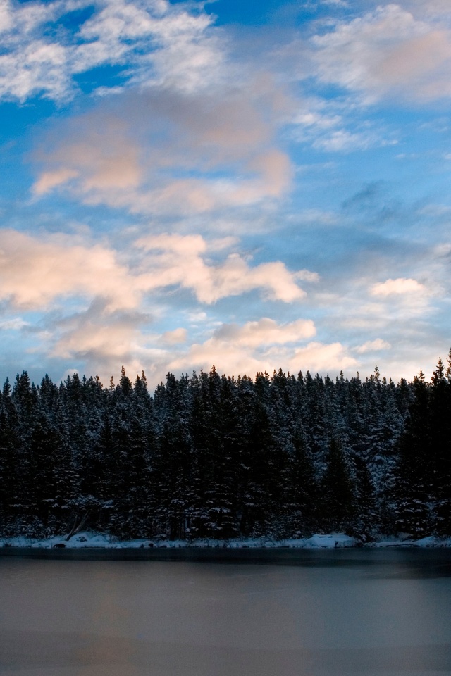 Лес на озере обои