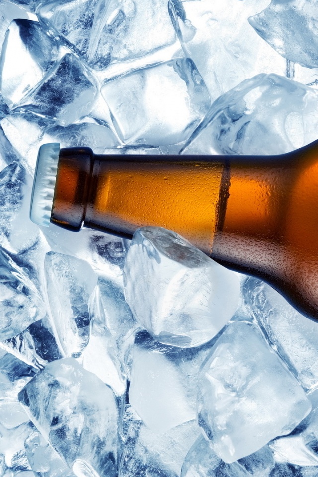 Бутылка пива во льду обои