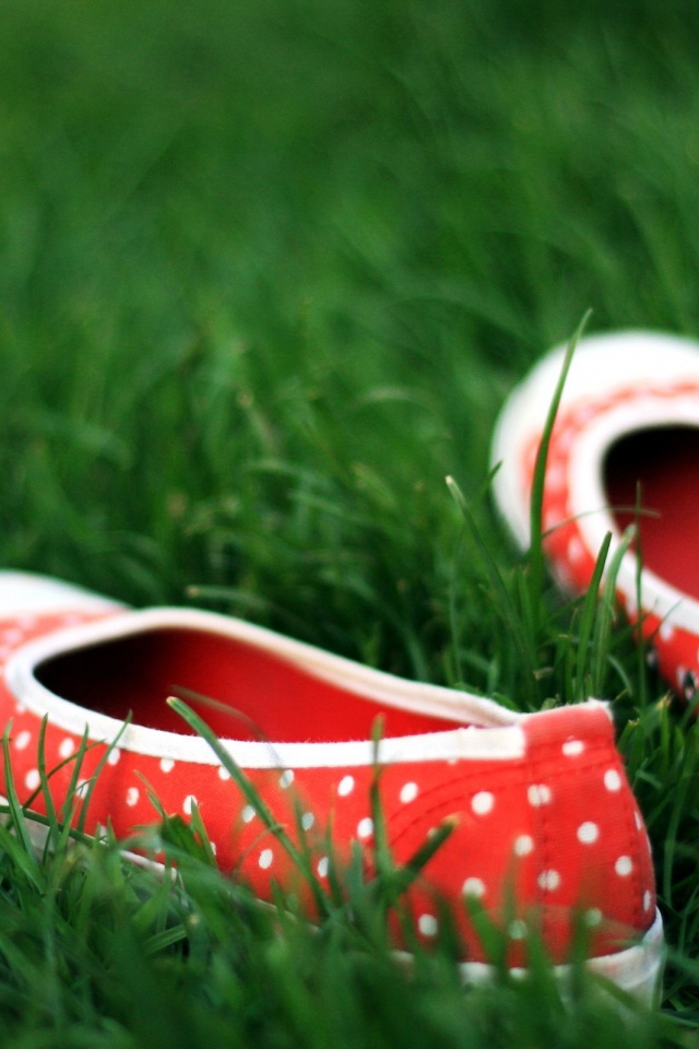 Красные тапки в горошек обои